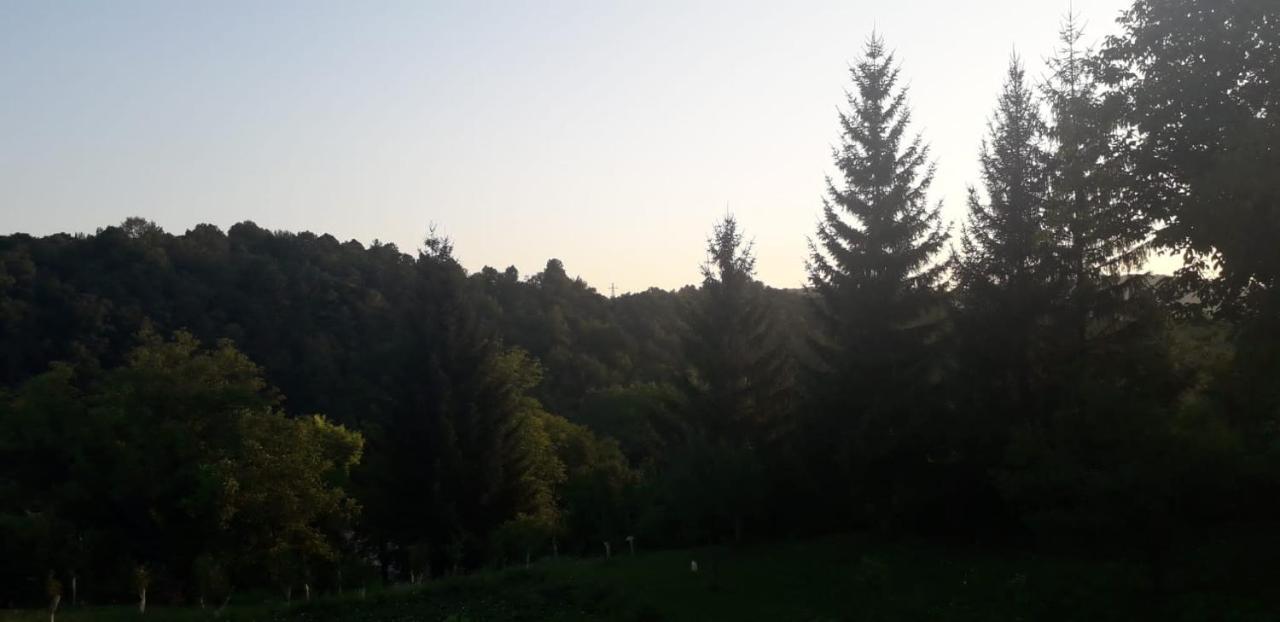 House Narta - Rastoke Apartment สลูน ภายนอก รูปภาพ
